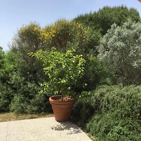 Il Melograno 3* Saturnia