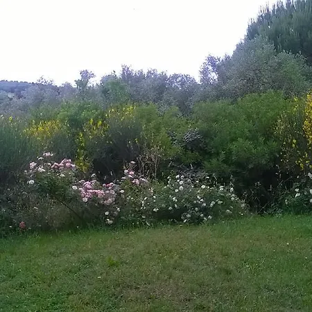 Il Melograno 호텔 사투르니아