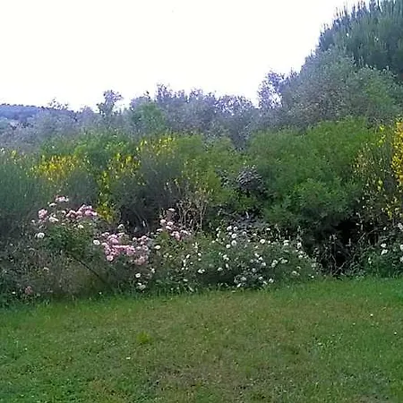 Il Melograno Saturnia