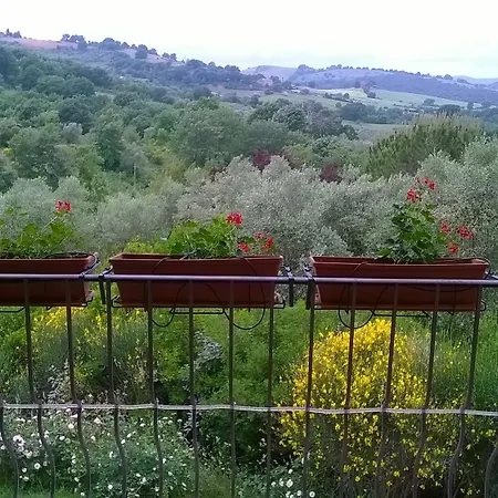 Il Melograno