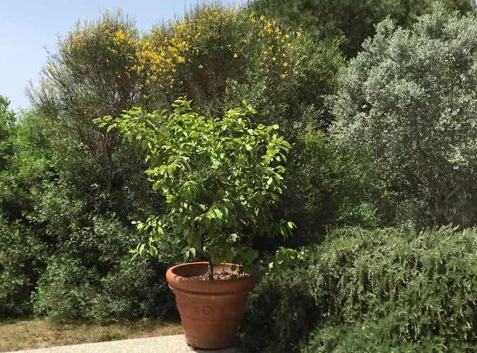 Il Melograno 3* Saturnia